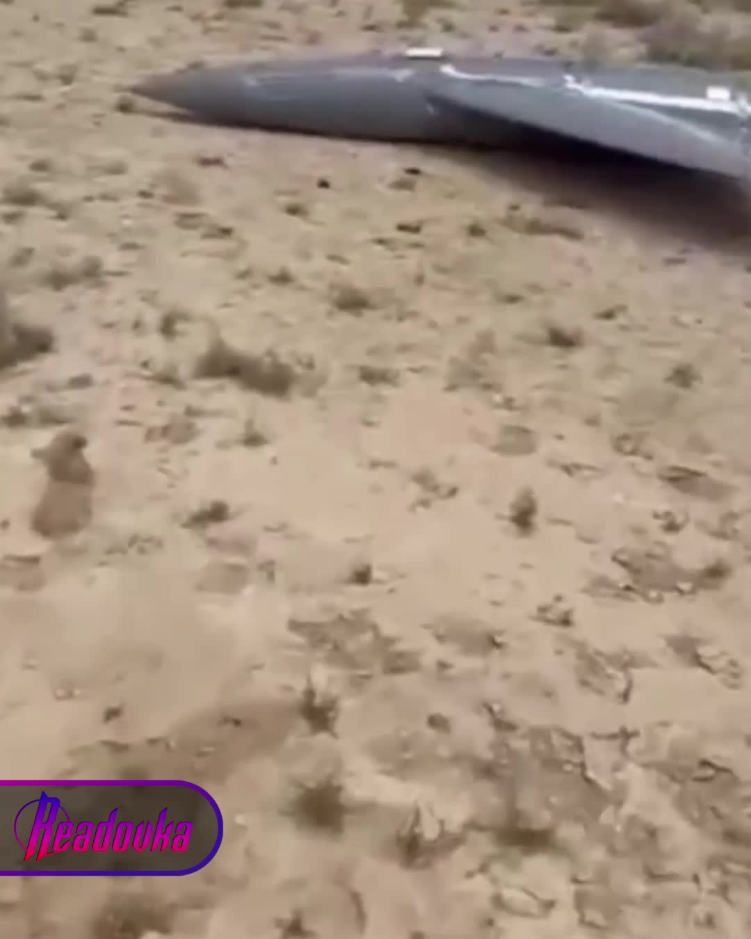 רחפן אוקראיני חשוד נמצא בשטח פתוח באזור מנגיסטאו בקזחסטן.
